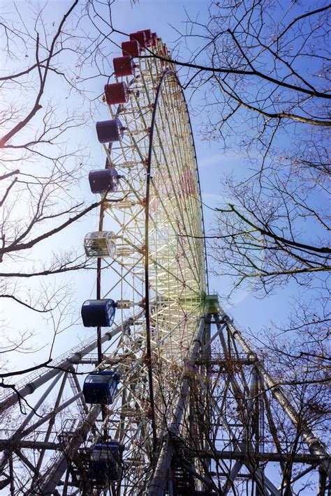 Vertical Image Of Tempozan Giant Ferris Wheel And Winter Trees Branch