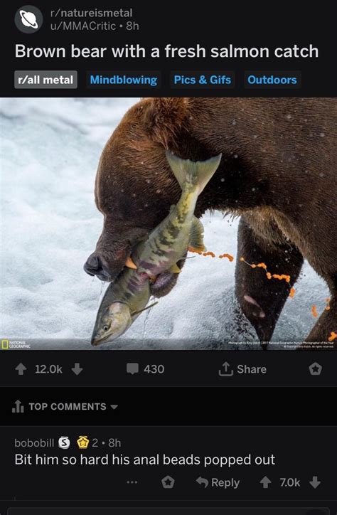 Bit Him So Hard His Anal Beads Popped Out R BrandNewSentence