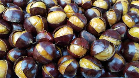 Chestnuts Roasting On A Smoker Cooker Lang Bbq Smokers Recipe Blog