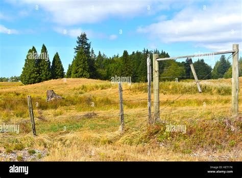 Beautiful Surreal Country Pastoral Scene With Open Field Beyond A