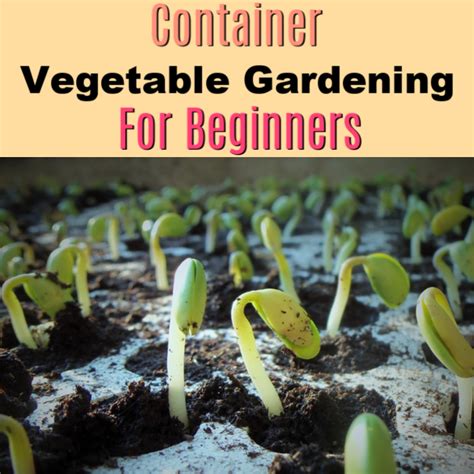 Tools Used For Gardening: A Beginner’s Guide