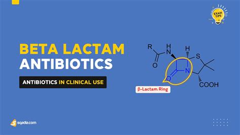 Antibiotics in Clinical Use - Beta-Lactam Antibiotics