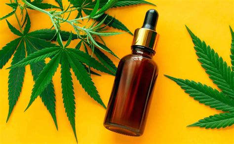 Comment Acheter Du CBD En Ligne