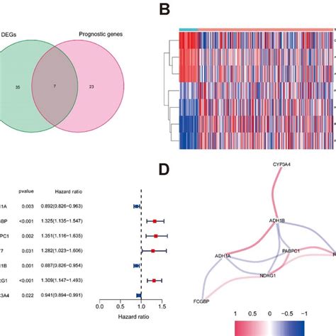 Coding And Non Coding Rnas In The Human Genome Trnas Transfert Rnas Download Scientific