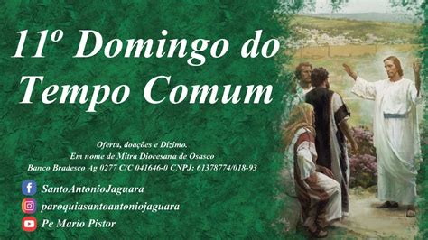 11º Domingo do Tempo Comum YouTube