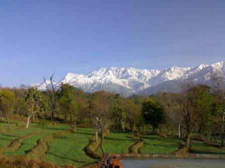 Palampur Tourism | Palampur Tourist Places, Tour Packages