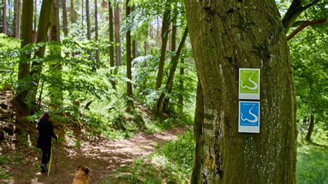 Wisper Trails Premiumwanderwege Im Taunus Deutschland Outdoor De