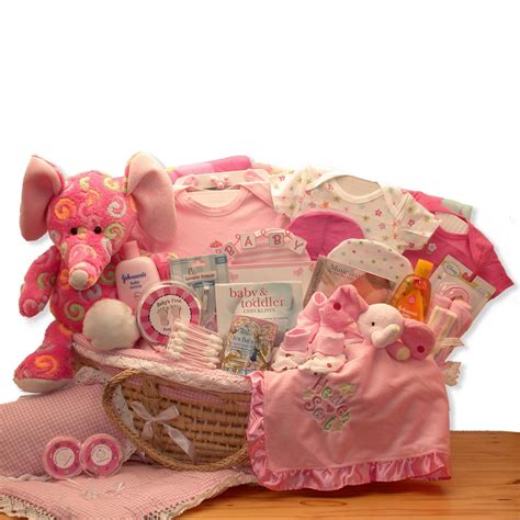 Double Delight Twins New Baby Gift Basket Pink Blue Wholesale Gift