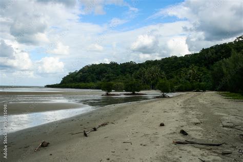 Mangrove Beach at Bloomfield Track in North Queensland, Daintree ...