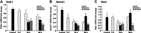 Inhibition Of Notch1 Signaling Pathway Decreased Dclk1 Mrna Expression