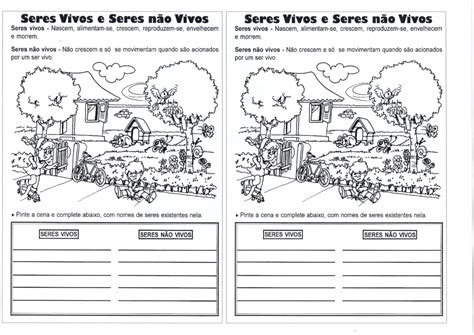 💖Ciências-Seres vivos e Não-vivos · Alfabetização Blog
