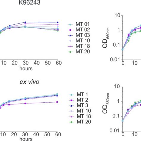 Secretion Of Bcaa Metabolism Intermediates Absolute Extracellular