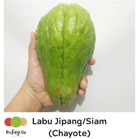 Jual Sayur Labu Siam Siyam Jipang Per Buah Gr Toko Buah