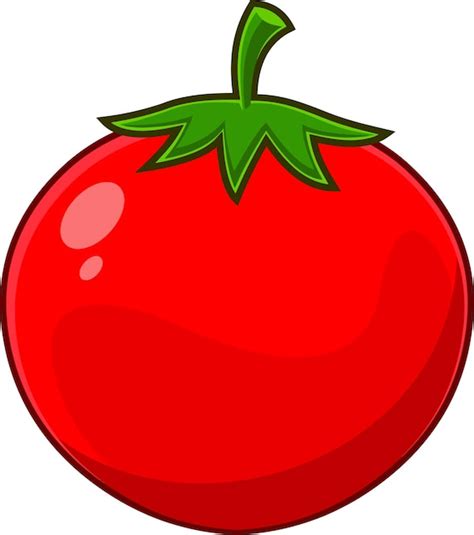 Ilustración de dibujado a mano de vector de tomate rojo fresco de