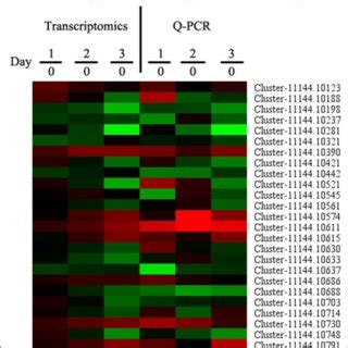 Quantitative Real Time Pcr Qrt Pcr Analysis Of A Set Of Degs