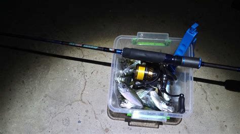 Рыболовный кан Higashi: обзор и отзыв