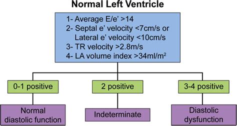 Pathophysiology And Echocardiographic Diagnosis Of Left Ventricular