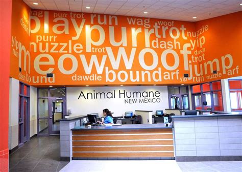 Animal Humane’s $2.8 million adoption center includes 25 ...