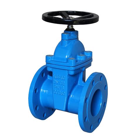 Bs5163 Resilient Gate Valve Watersvalve