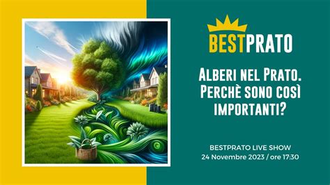 Alberi Nel Prato Perch Sono Cos Importanti Youtube