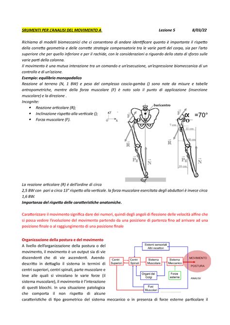 Lezione 5 Strumenti Per L Analisi Del Movimento SRUMENTI PER L