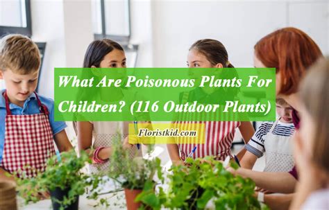 What Are Poisonous Plants For Children? ( 116 Outdoor Plants)