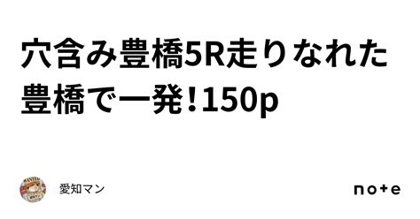 穴含み🔥豊橋5r走りなれた豊橋で一発！150p｜愛知マン