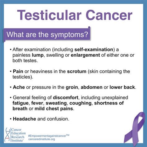 Testicular Cancer Cancer Education And Research Institute