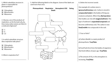 Carbon Cycle ~ Ks3 ~ Year 8 Teaching Resources