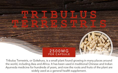 FS Tribulus Terrestris 180 Tribulus Terrestris High Strength Capsules