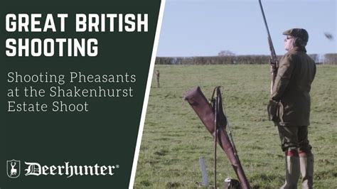 Shooting Pheasants At The Shakenhurst Estate Shoot Youtube