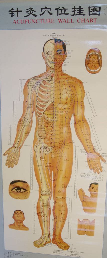 Acupuncture Points Wall Charts Diagrams (set of 3 charts) – globalhealthlab