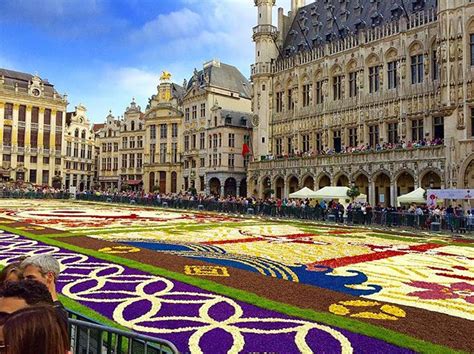 Tapis De Fleurs Bruxelles