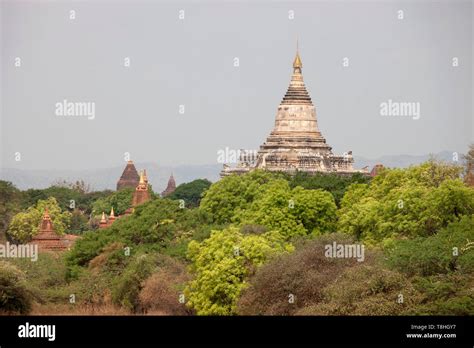 View Of Temples Old Bagan Village Area Mandalay Region Myanmar Asia