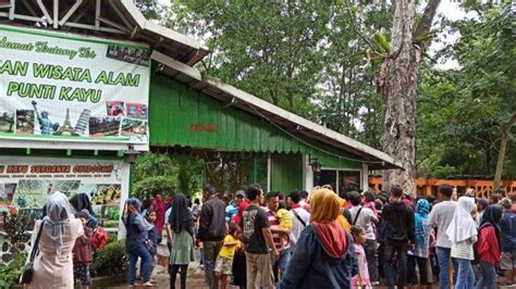 Ribuan Pengunjung Padati Taman Wisata Alam Punti Kayu Palembang