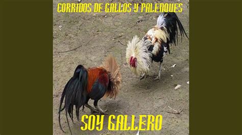 Los Galleros De Chihuahua Youtube Music