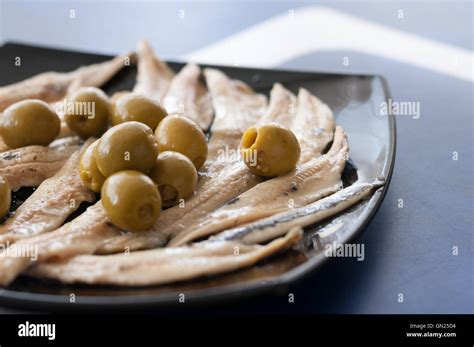anchovies diet  luis silva blog