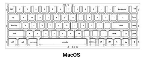 Share More Than Keyboard Picture Drawing Best Nanoginkgobiloba Vn