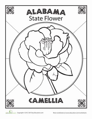 Alabama State Flower Coloring Page