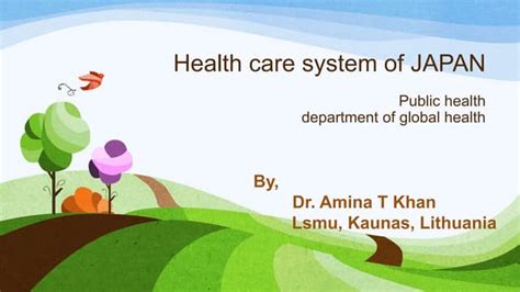 Health Care System Of Japan Ppt