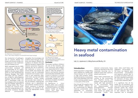 Pdf Heavy Metal Contamination In Seafood