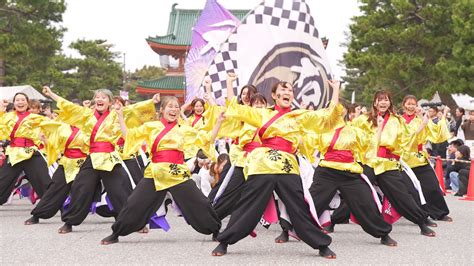 4k 和歌山大学よさこいサークル和歌乱 京都さくらよさこい 2024 さくよさ 2日目 神宮道会場 Youtube