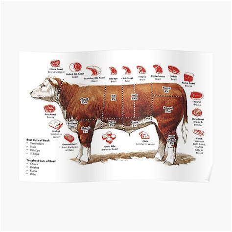 "Beef Cuts Chart Poster" Poster for Sale by Chartopian | Redbubble