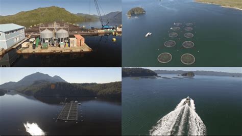 Fish farming will play a bigger role in feeding the world’s population - Aquaculture Magazine