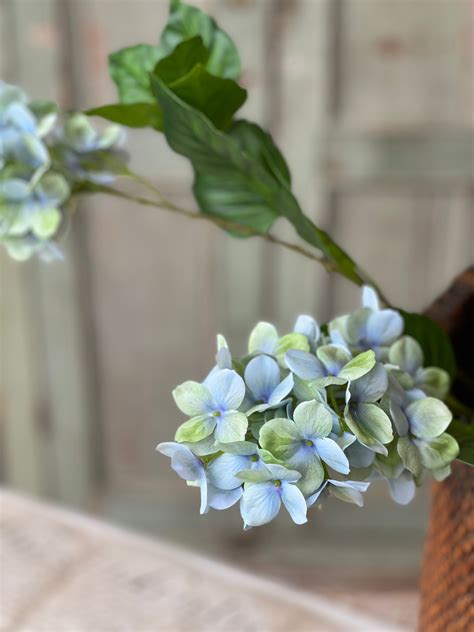 Pinnacle Hydrangea | 30" | Seaglass - Lancaster Home & Holiday