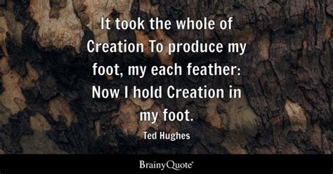 Ted Hughes - It took the whole of Creation To produce my...