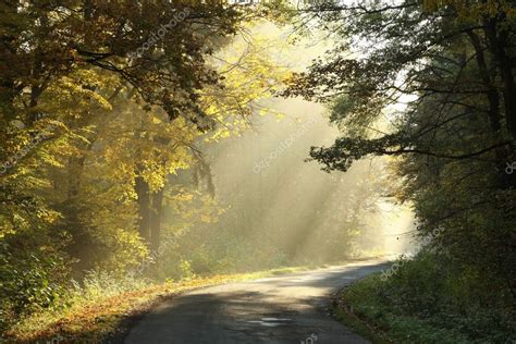 Autumn forest road at sunrise — Stock Photo © nature78 #4064713