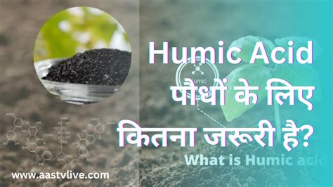 What Is Humic Acid And How Does It Useful For Plants हद AAS TV