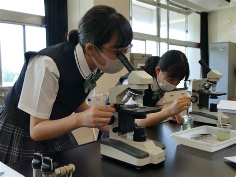 中等部1年生 顕微鏡で微生物の観察（理科） 鎌倉女子大学 中等部・高等部