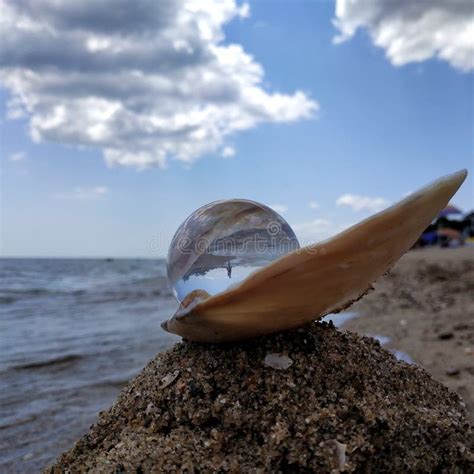 Pearl in a Shell on the Beach Stock Photo - Image of beach, seashore ...